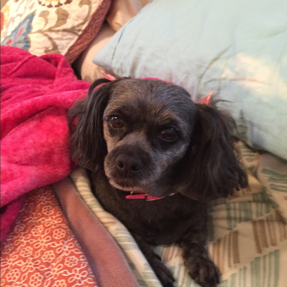 Meet your Posher, Jeremy